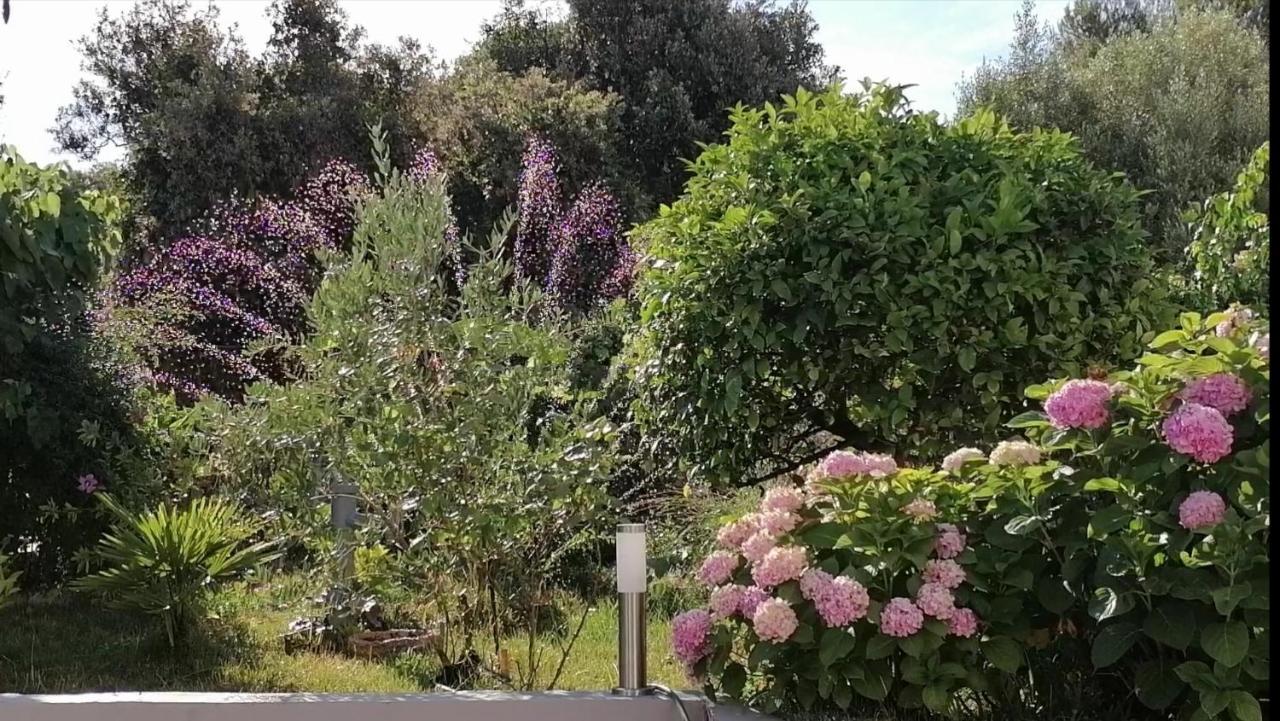 Apartment Lavanda Nova Ražanj Buitenkant foto