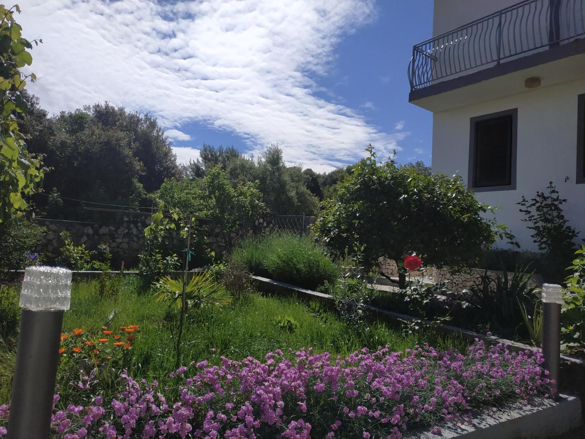 Apartment Lavanda Nova Ražanj Buitenkant foto