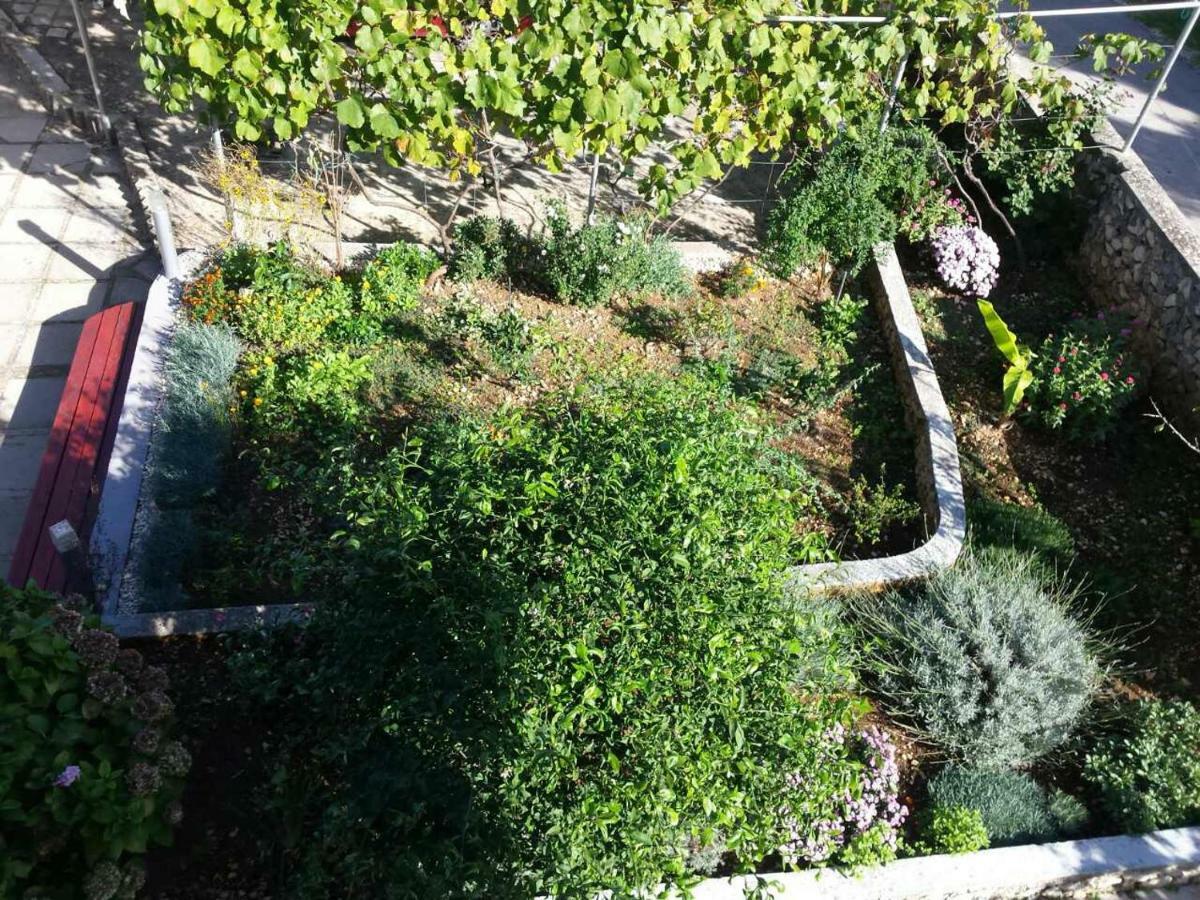Apartment Lavanda Nova Ražanj Buitenkant foto
